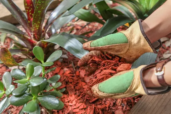 4HH Lawn Care's Other Services