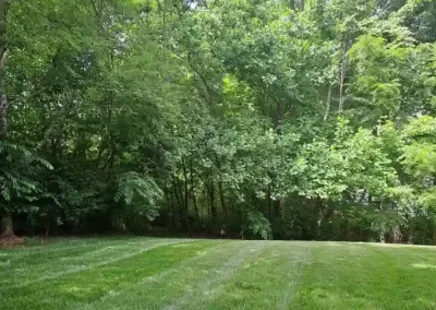 Affordable Landscaping Services