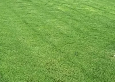 Commercial Lawn Care