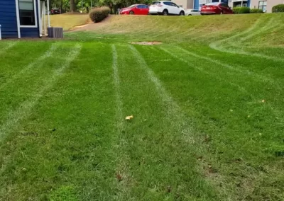 Dependable Landscaping Services