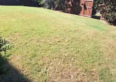 Excellent Landscaping Services