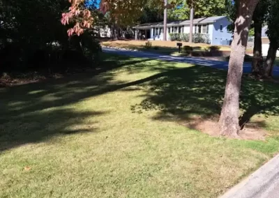 Exceptional Landscaping Services