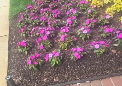 Extraordinary Landscaping Services