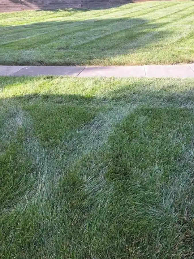 Impeccable Landscaping Services