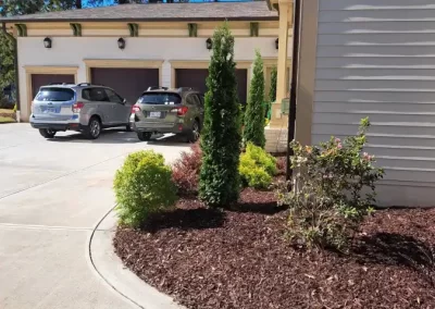 Impressive Landscaping Services