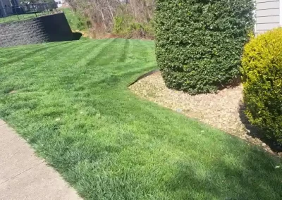 Lawn Care Specialist