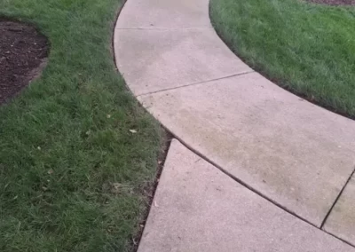 Notable Landscaping Services