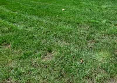 Perfect Landscaping Services