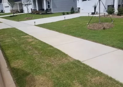 Professional Landscaping Services