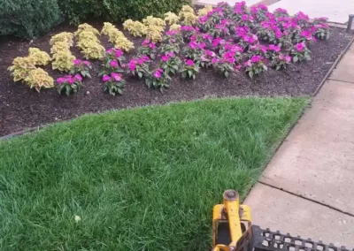 Quality Landscaping Services