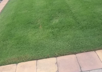 Splendid Landscaping Services