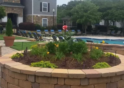 Superb Landscaping Services