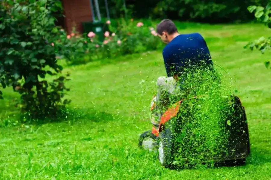 How Regular Grass Cutting Enhances Lawn Health in Durham, NC