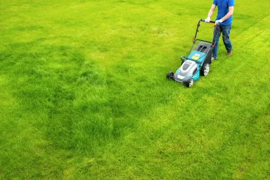 Key Benefits Of Professional Grass Cutting Services in Durham, NC