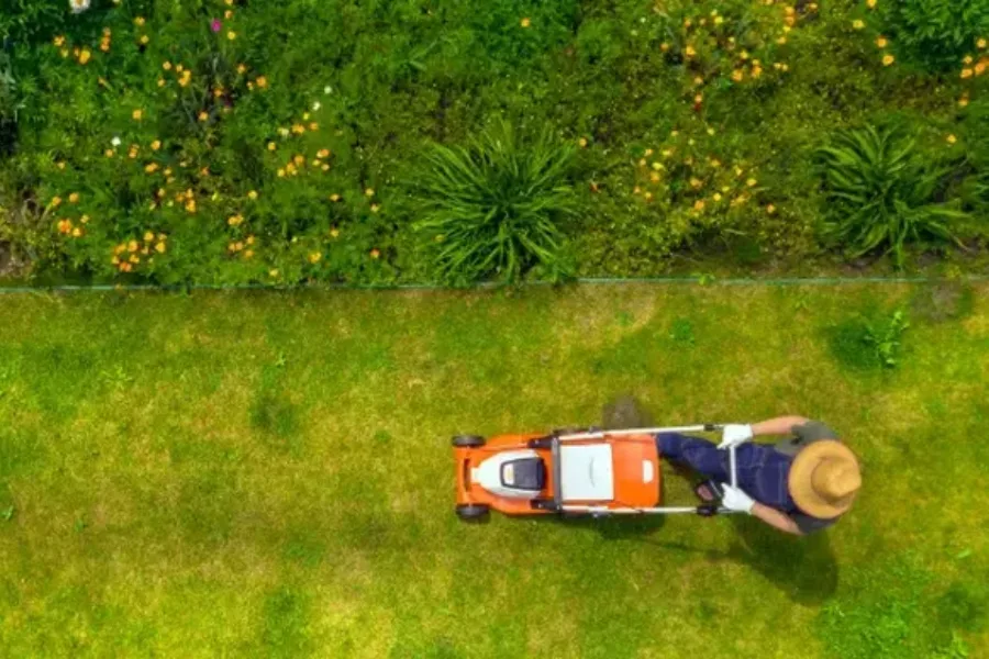 Superior Lawn Maintenance Durham, NC Superior Lawn Maintenance Durham, NC