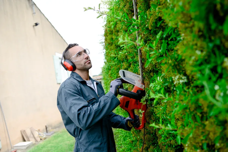 The Benefits Of Professional Bush Trimming Services in Durham, NC The Benefits Of Professional Bush Trimming Services in Durham, NC
