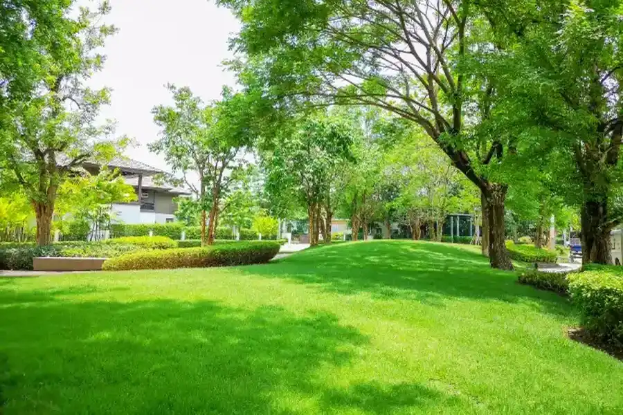 Tips For Keeping Your Lawn Green And Lush Year Round Durham, NC Tips For Keeping Your Lawn Green And Lush Year Round Durham, NC