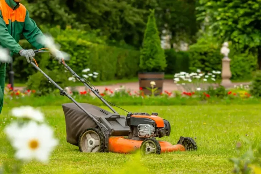 Top-rated Lawn Maintenance Durham, NC Top-rated Lawn Maintenance Durham, NC